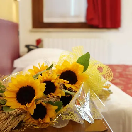 Hotel Mantegna Stazione